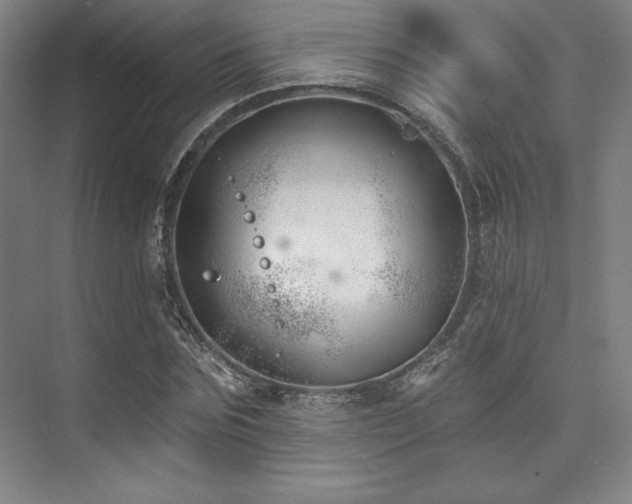 X0000073870875200608101507