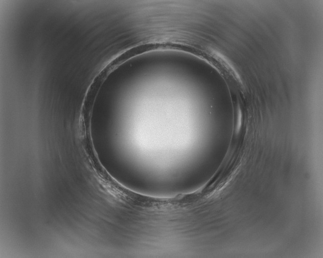 X0000073870876200608101507