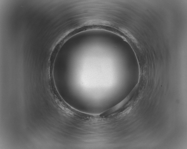 X0000073870877200608101507