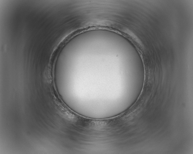 X0000073870878200608101507