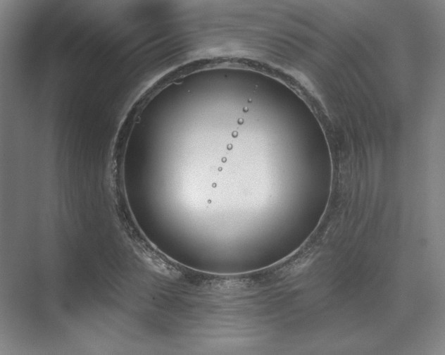 X0000073870879200608101507