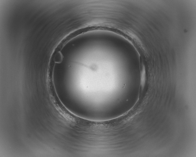 X0000073870880200608101507