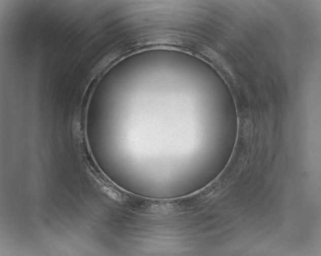 X0000073870882200608101507