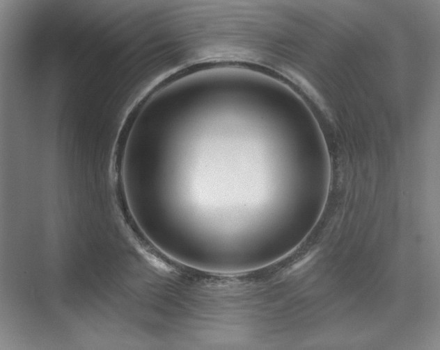 X0000073870885200608101507