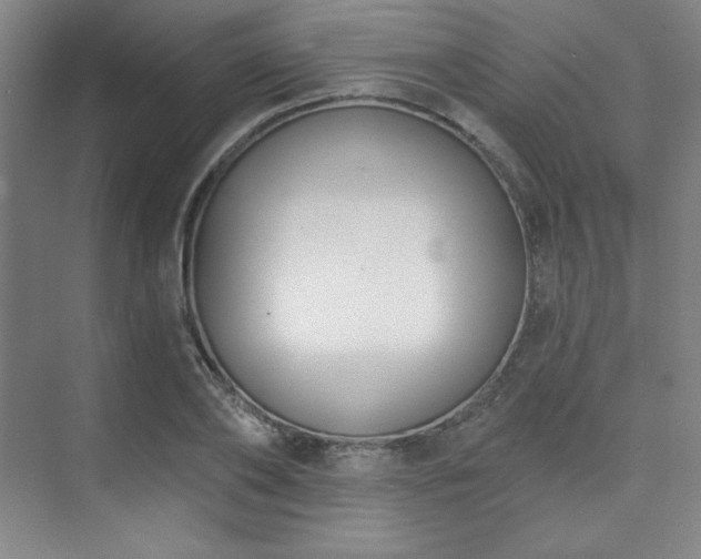 X0000073870886200608101507