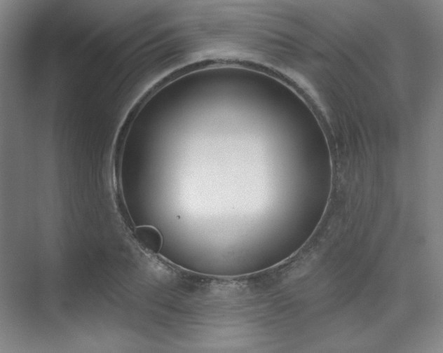 X0000073870887200608101507