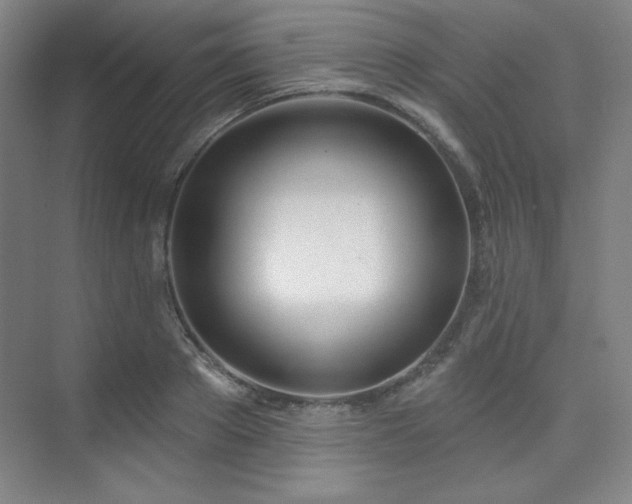 X0000073870889200608101507