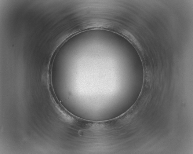 X0000073870890200608101507