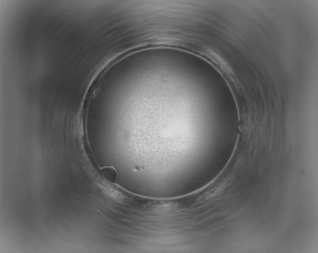 X0000073870891200608101507