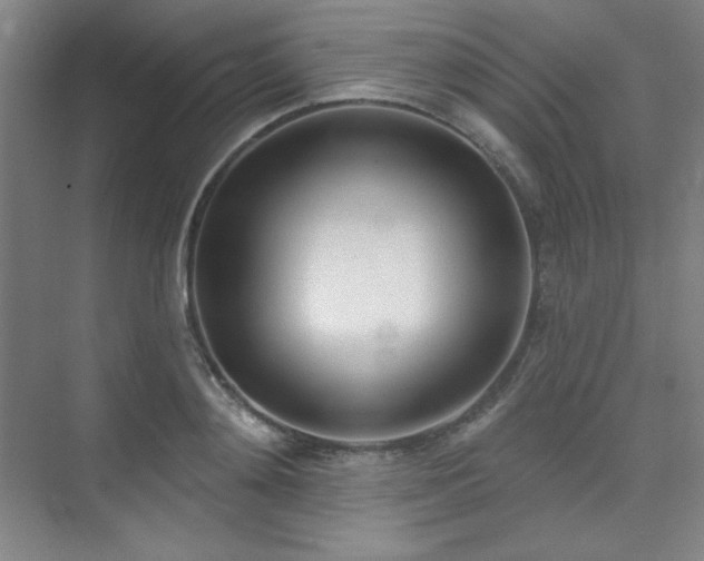 X0000073870892200608101507