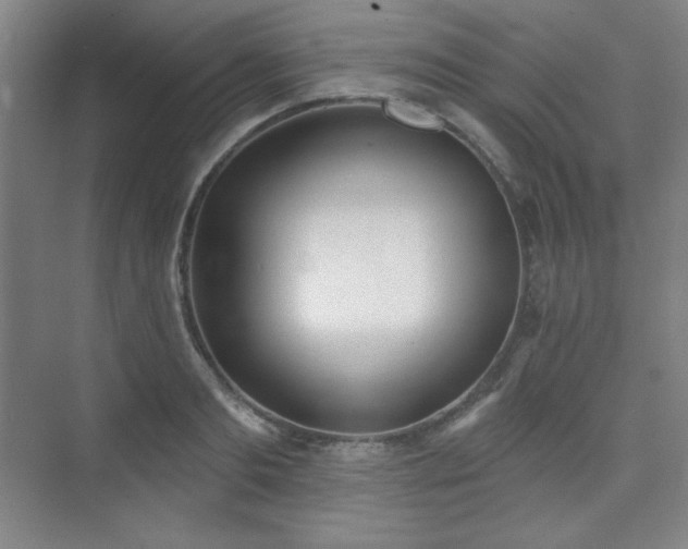 X0000073870893200608101507