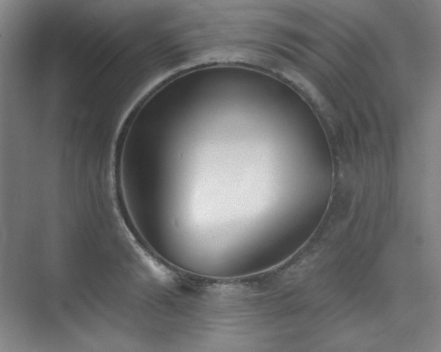 X0000073870894200608101506