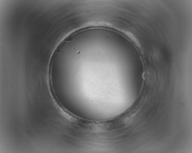 X0000073870895200608101506