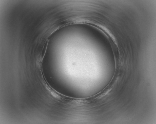 X0000073870897200608101506