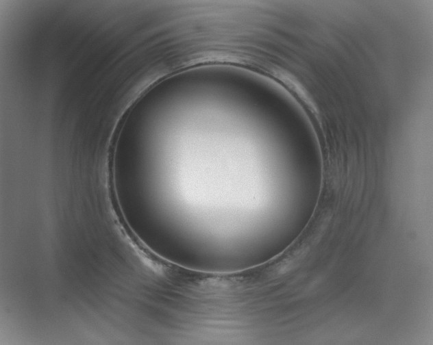 X0000073870898200608101506