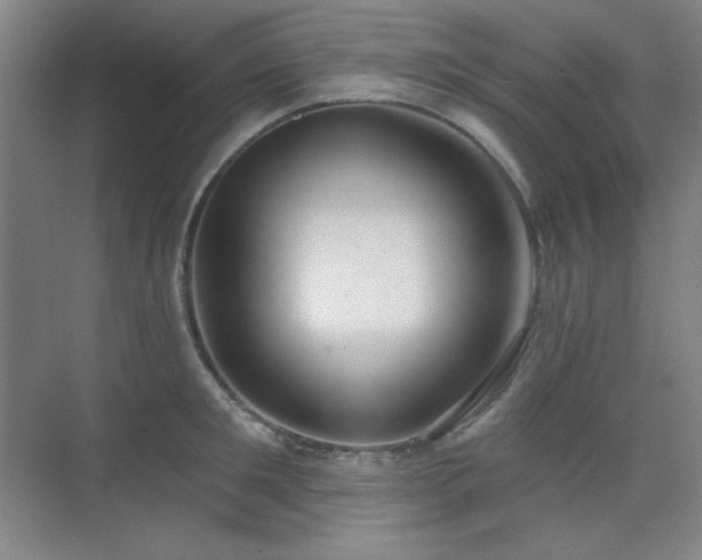 X0000073870901200608101506