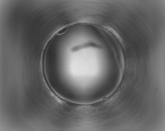 X0000073870902200608101506