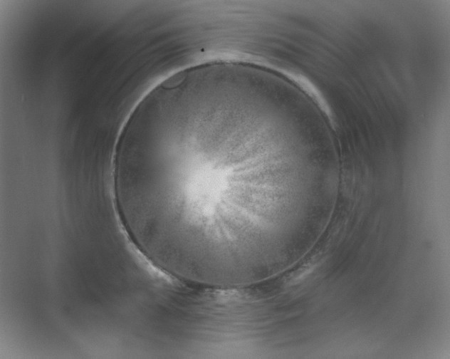 X0000073870903200608101506