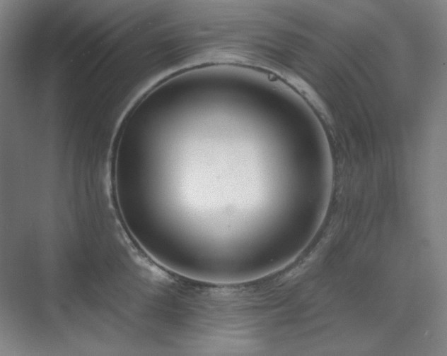 X0000073870904200608101506