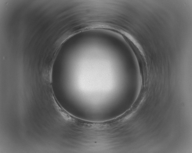 X0000073870905200608101506