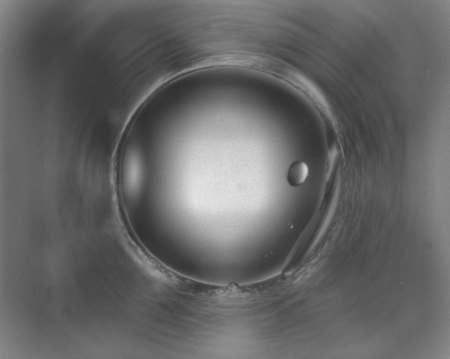 X0000073870907200608101506