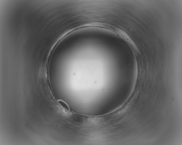 X0000073870908200608101506