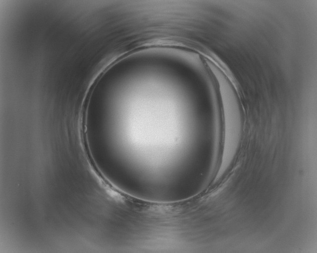 X0000073870909200608101506