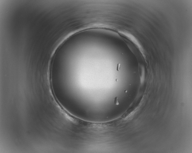 X0000073870910200608101506