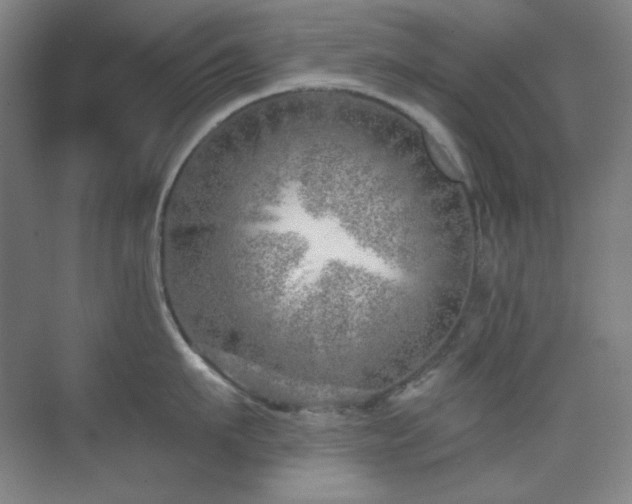 X0000073870911200608101506