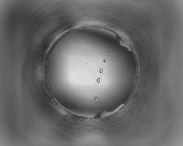 X0000073870912200608101506