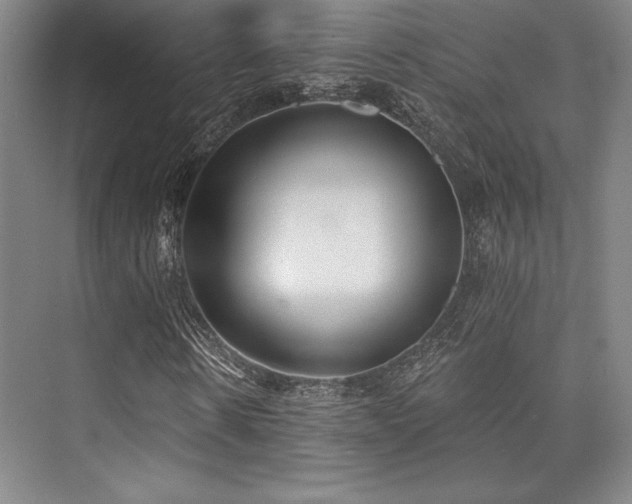 X0000073870914200608101505