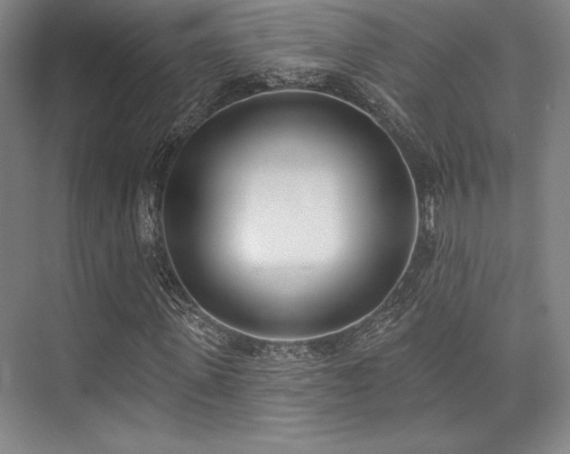 X0000073870915200608101505