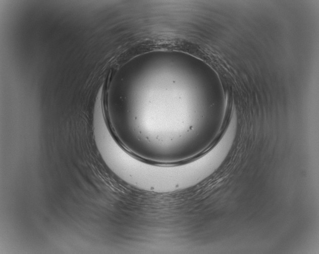 X0000073870916200608101505