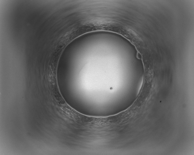 X0000073870917200608101505