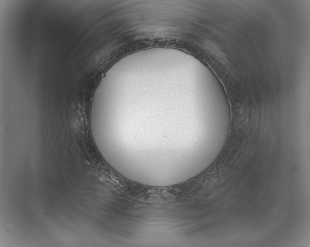 X0000073870918200608101505