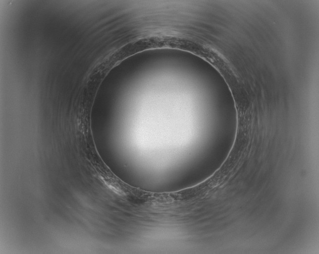 X0000073870919200608101505