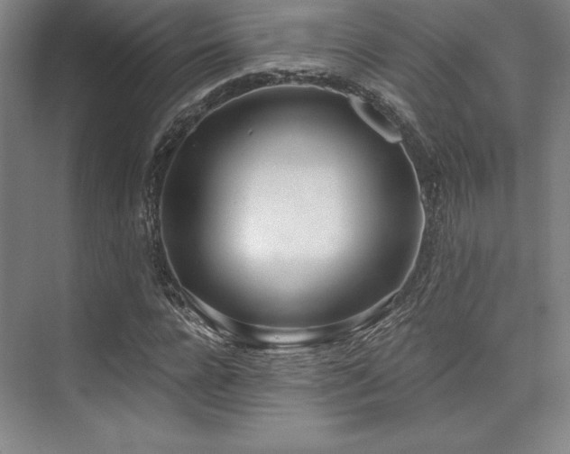 X0000073870920200608101506