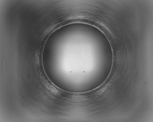 X0000073870921200608101506