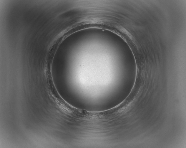 X0000073870922200608101506