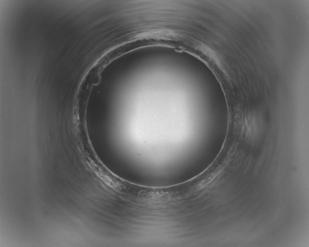 X0000073870923200608101506