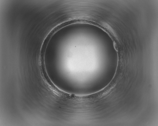 X0000073870924200608101506