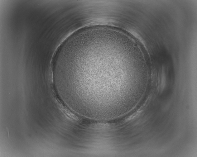 X0000073870925200608101506