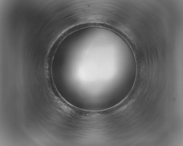 X0000073870926200608101506