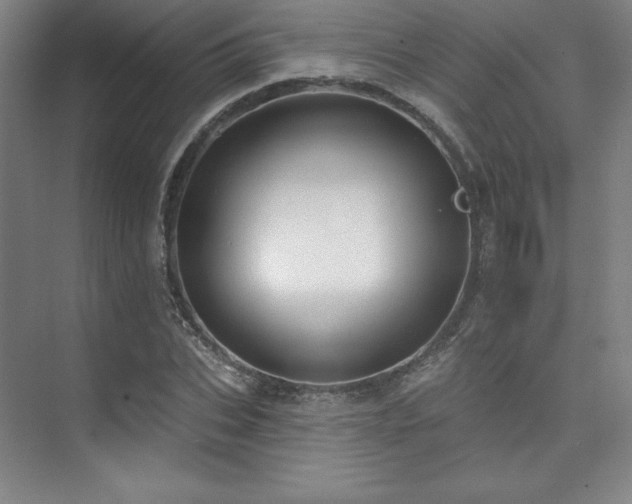 X0000073870927200608101506