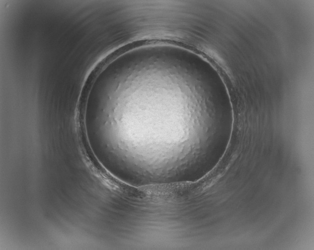 X0000073870928200608101506