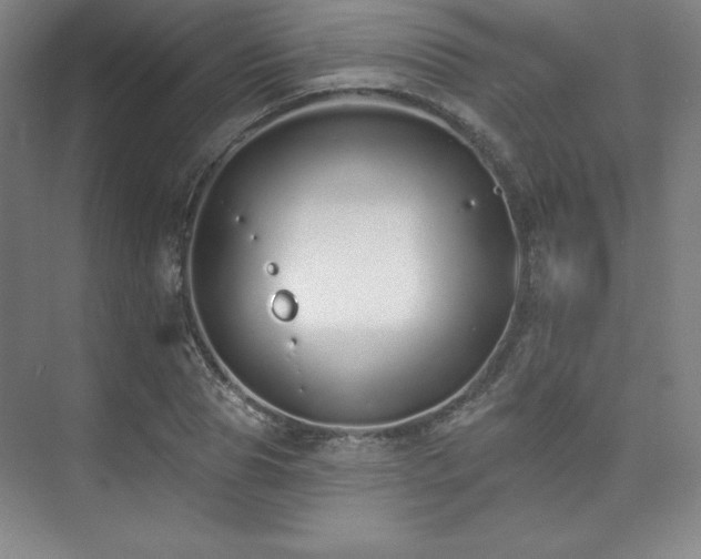 X0000073870929200608101506