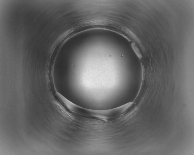 X0000073870930200608101506