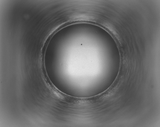 X0000073870933200608101506