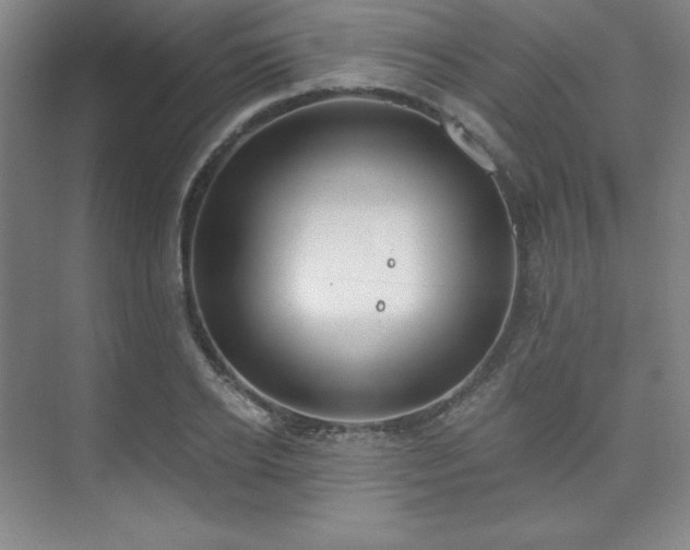 X0000073870934200608101506