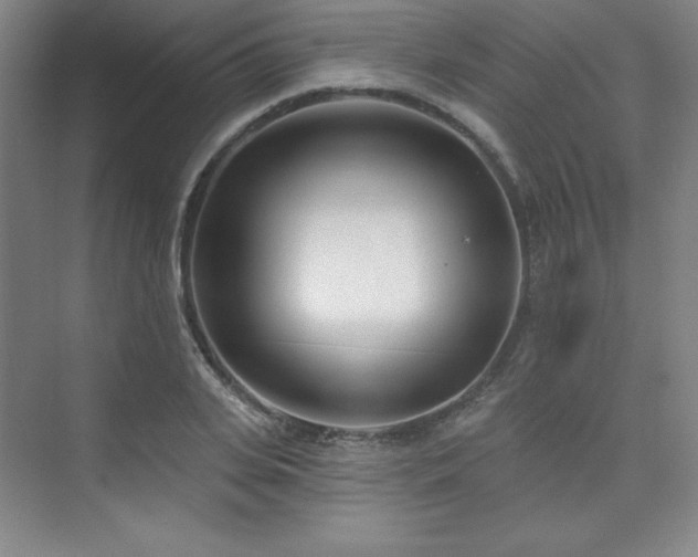 X0000073870935200608101506